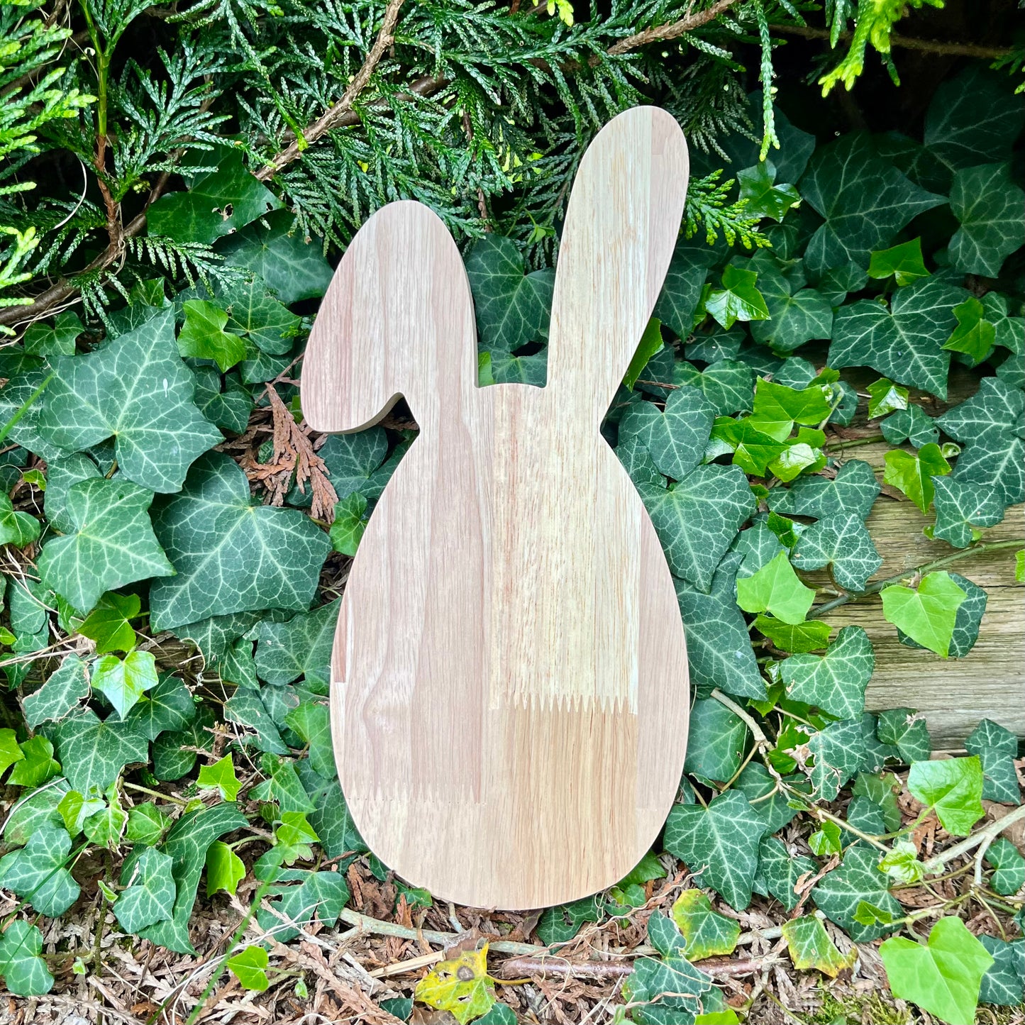 Plateau en bois, gamelle pour lapin en forme de lapin et d’oeuf