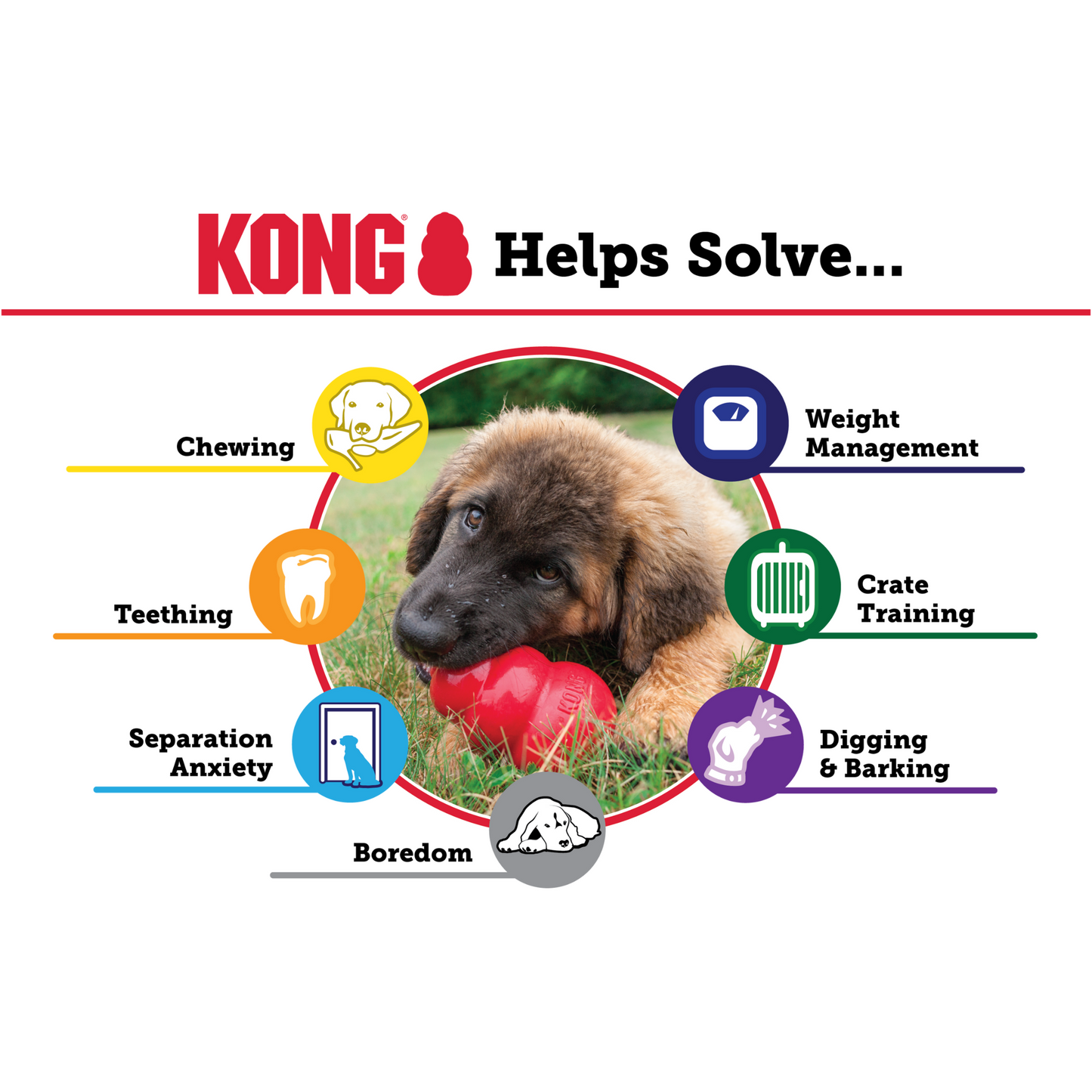 KONG Extrême