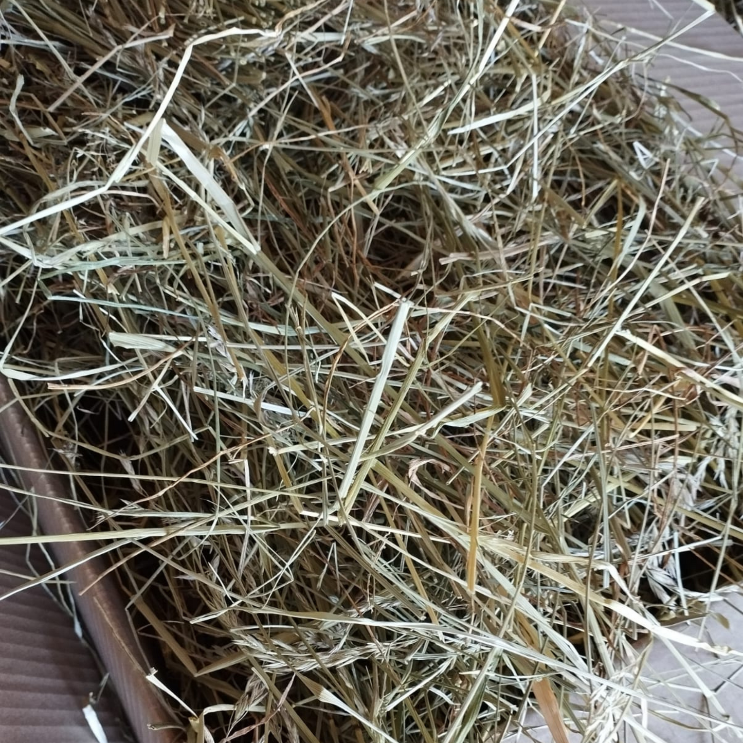 Foin pour lapin pauvre en calcium et peu poussiereux