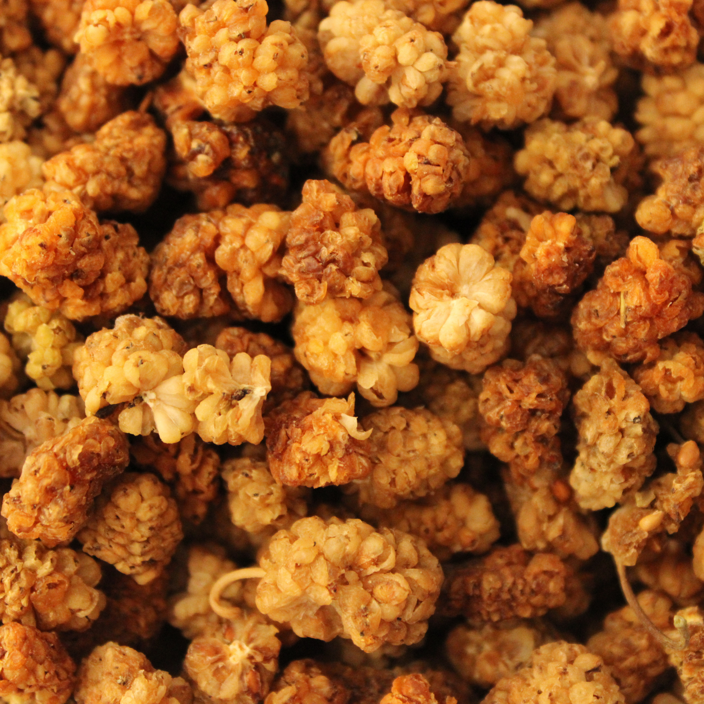 Friandises naturelles pour lapin – enrichissement et bien-être digestif Mûres blanches bio séchée