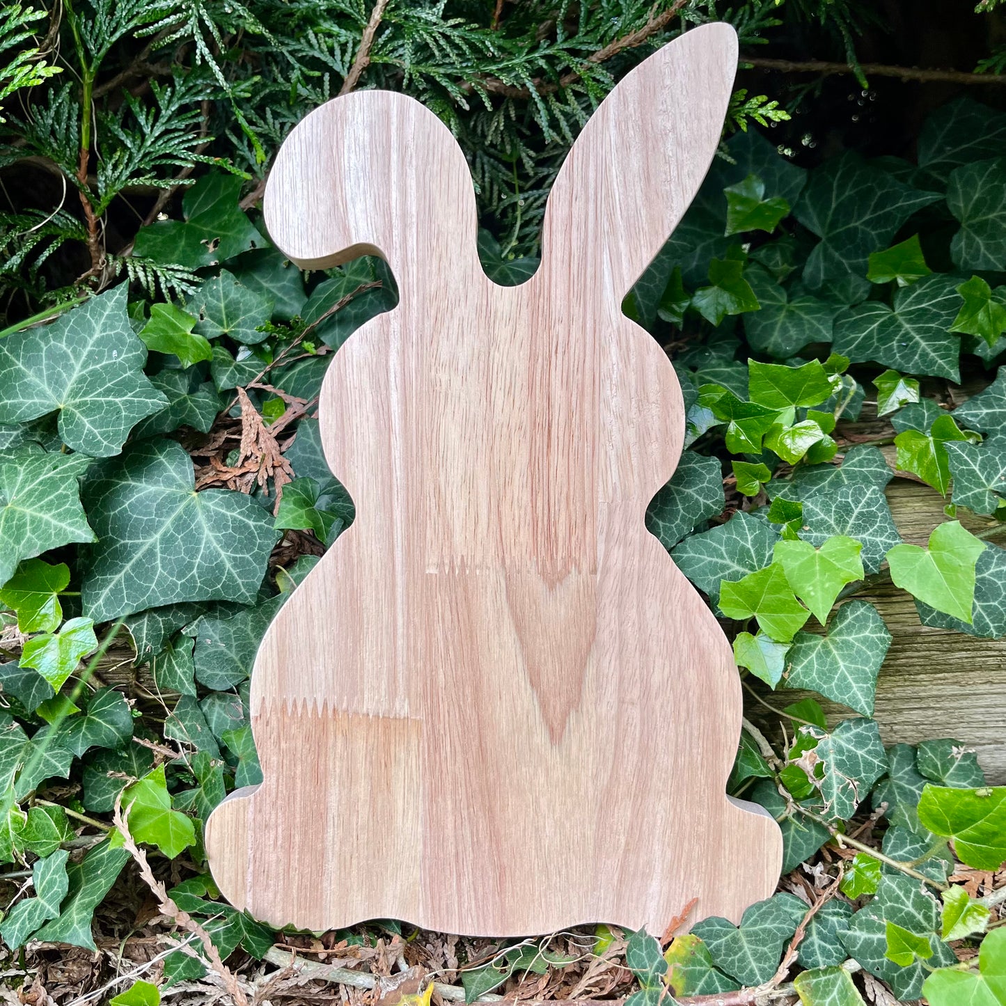 Plateau en bois, gamelle pour lapin en forme de lapin et d’oeuf