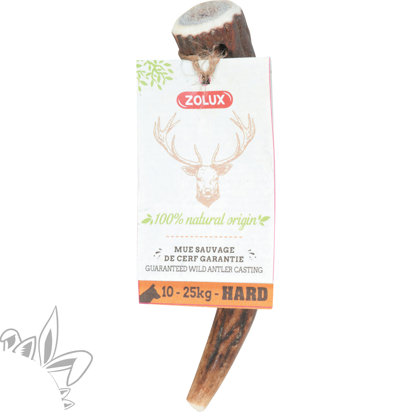 Bois de cerf entier