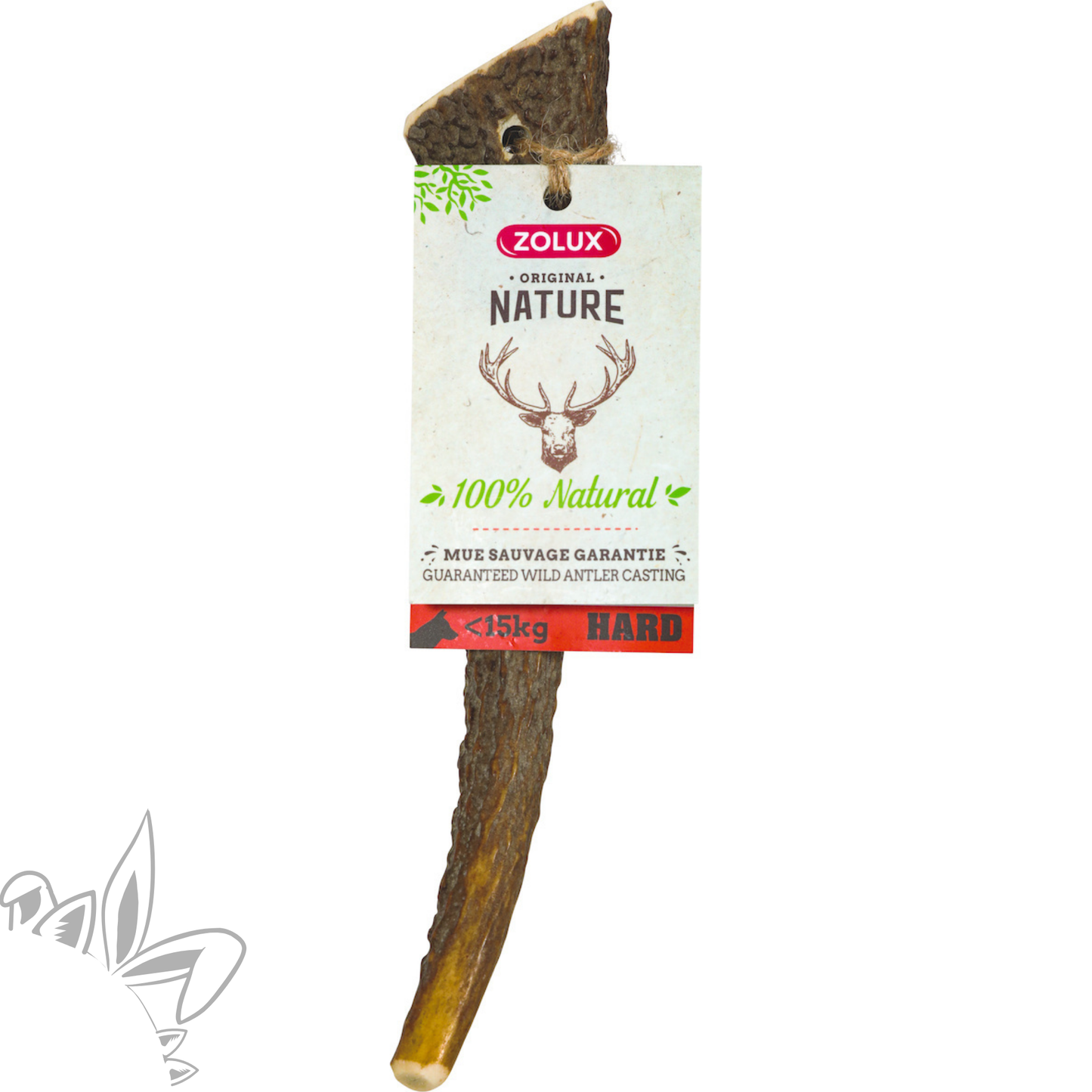 Bois de cerf entier