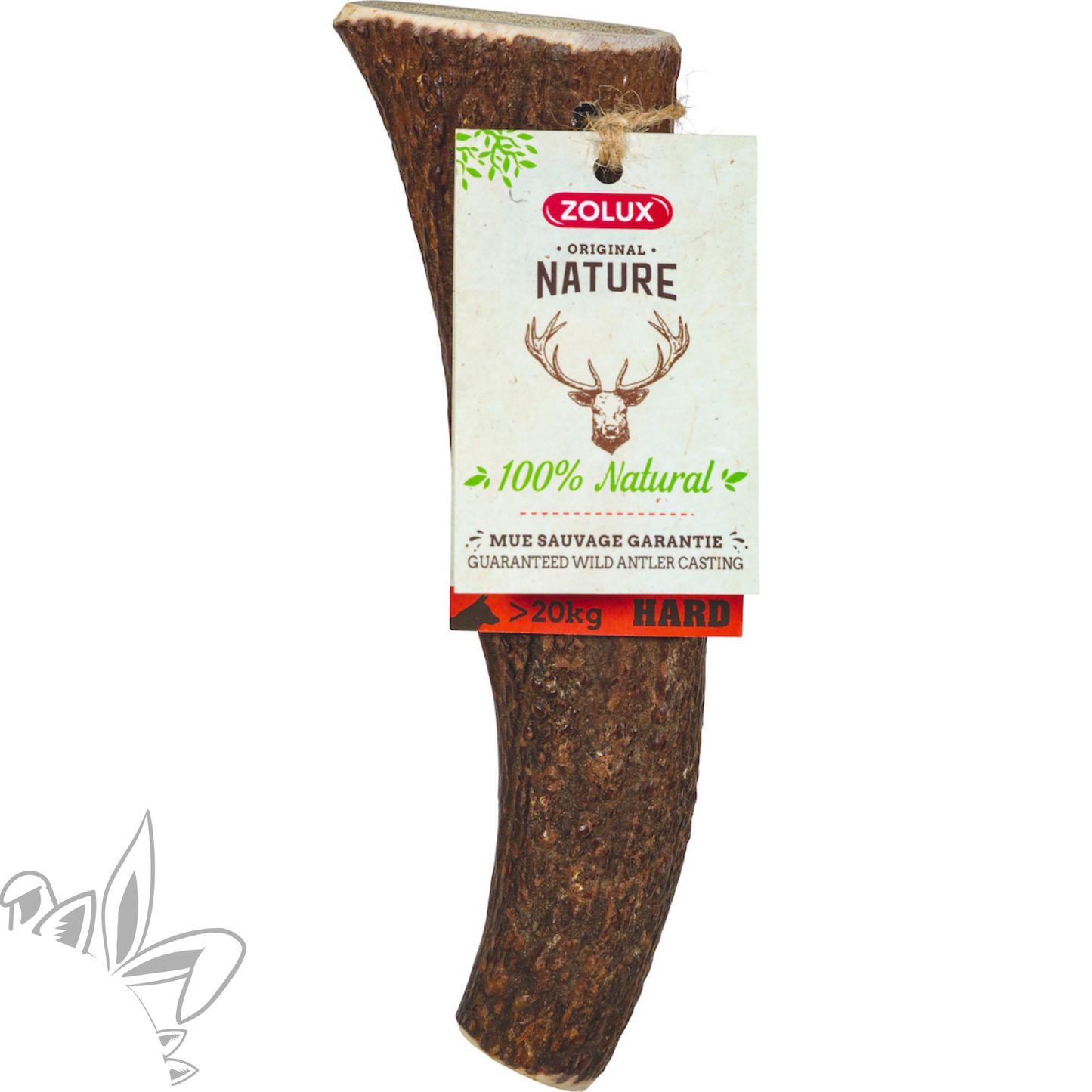 Bois de cerf entier