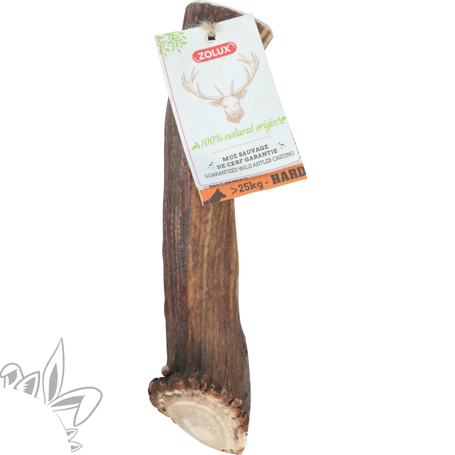 Bois de cerf entier