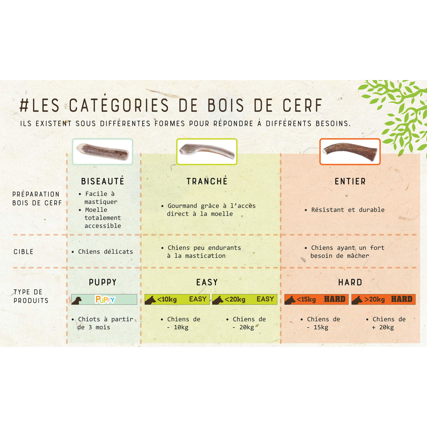 Bois de cerf entier