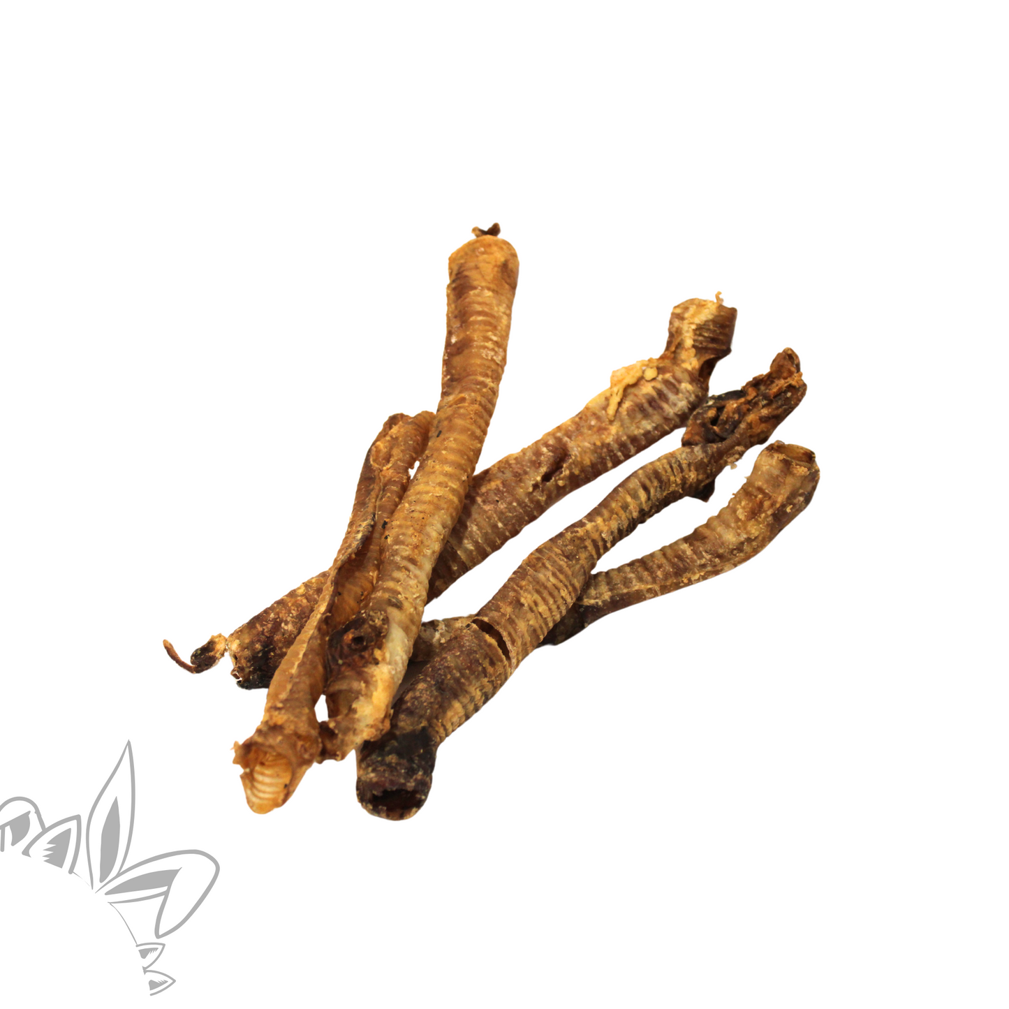 Friandises naturelles pour chien : trachées de cerf séchées