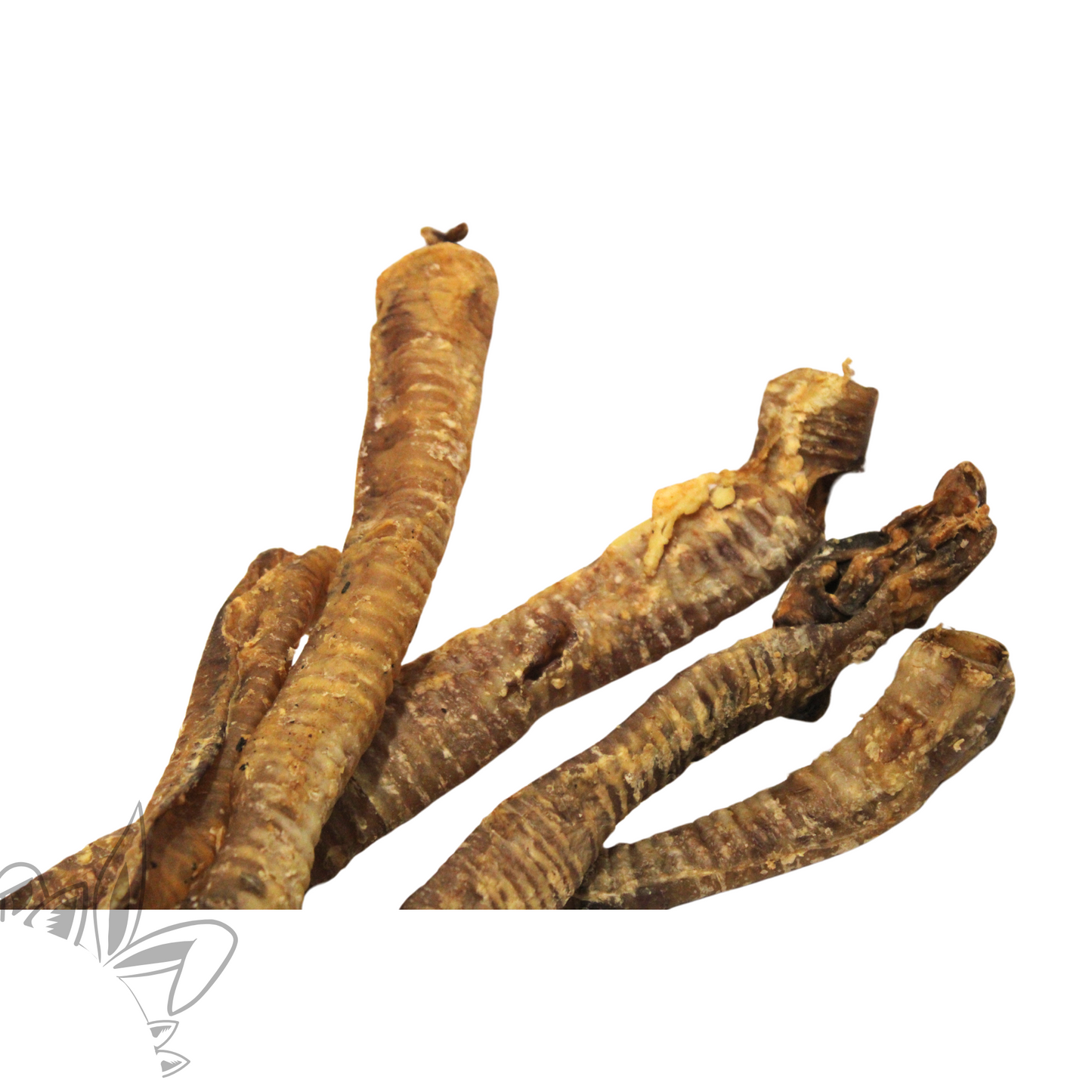 Friandises naturelles pour chien : trachées de cerf séchées
