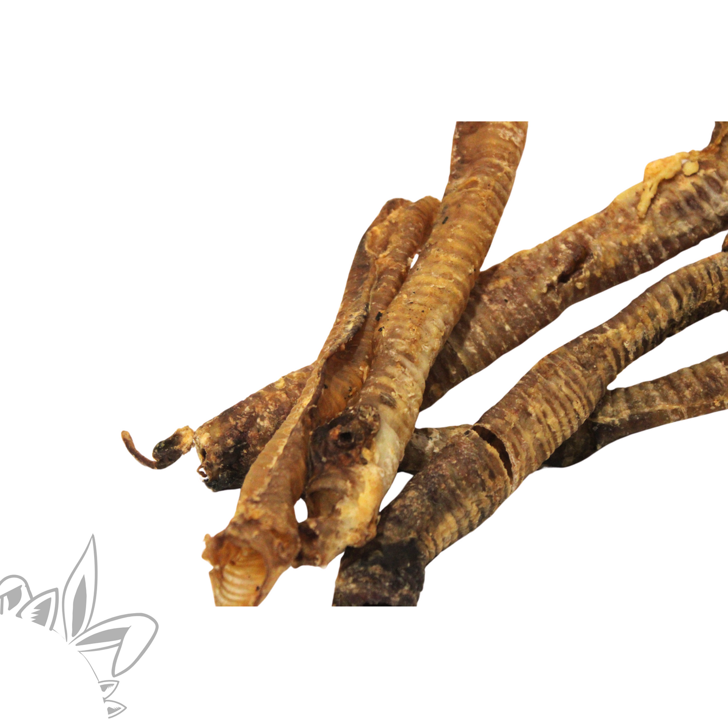 Friandises naturelles pour chien : trachées de cerf séchées