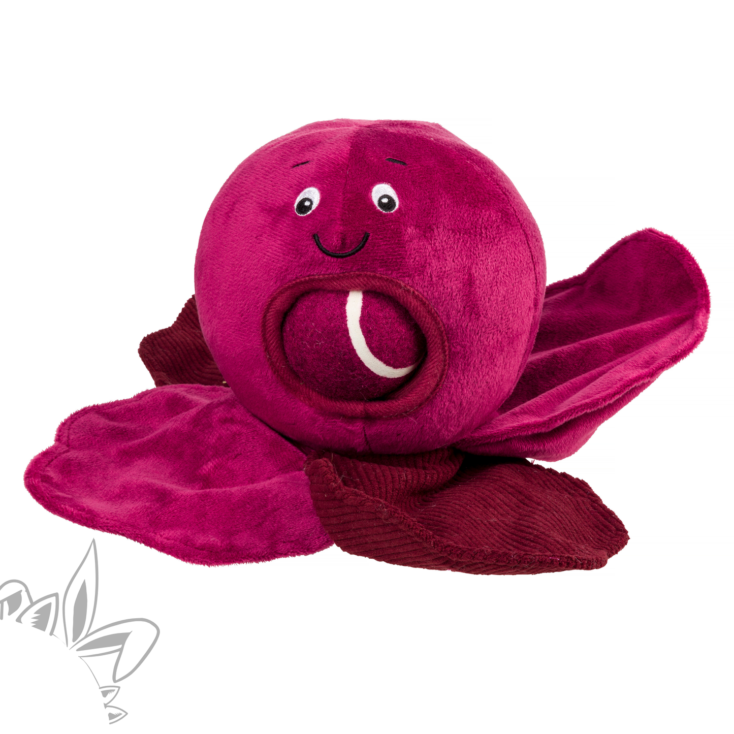 Le choux rouge
