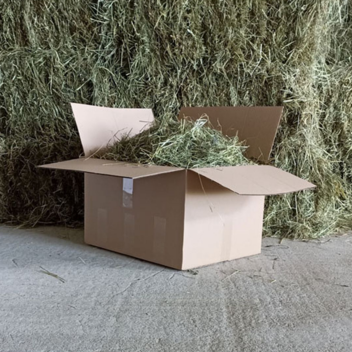 Foin pour lapin pauvre en calcium et peu poussiereux