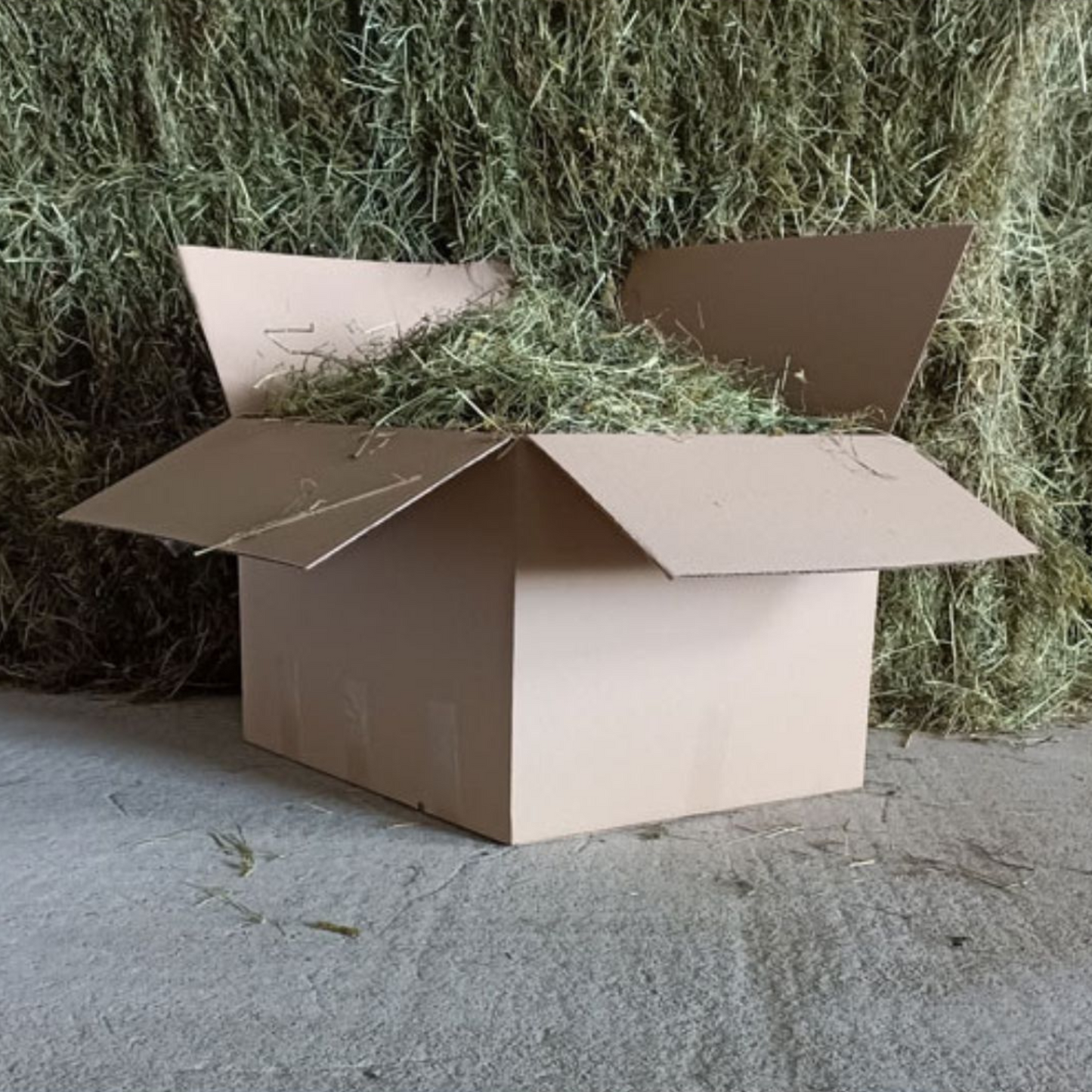Foin pour lapin pauvre en calcium et peu poussiereux