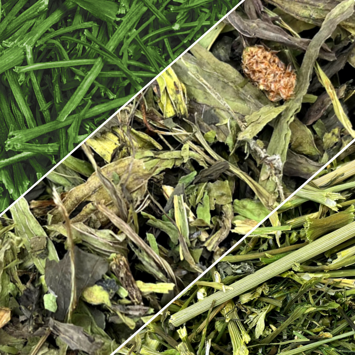 Friandise séchée et naturelle pour lapin