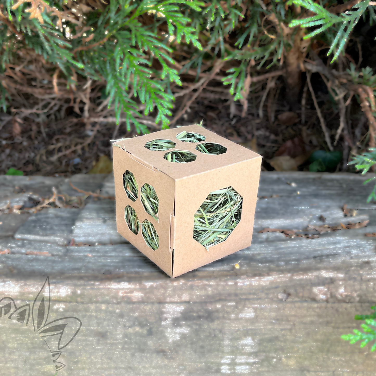 Jouet cube en carton percé de trous avec foin pour lapin