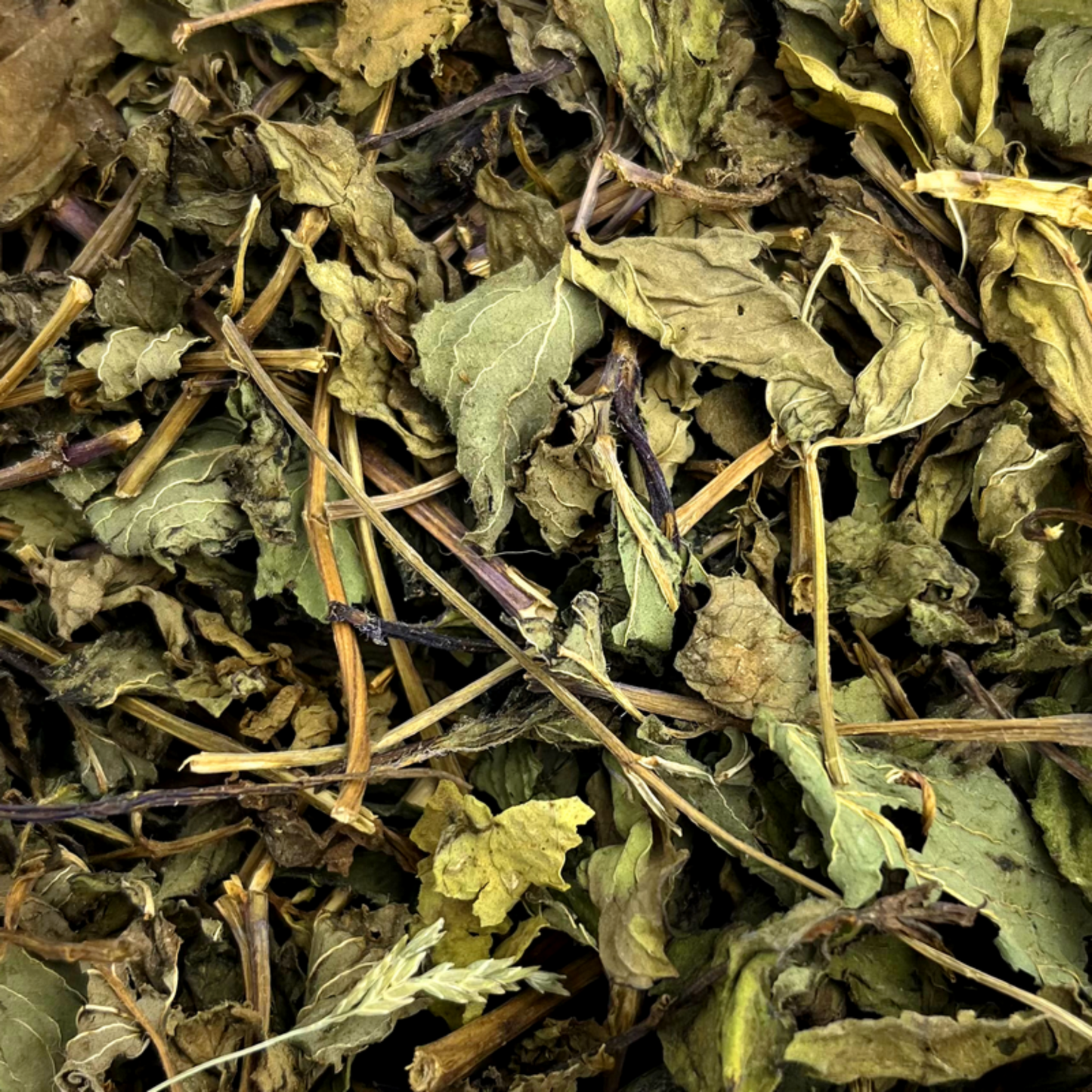 Friandise séchée et naturelle pour lapin feuille menthe poivrée