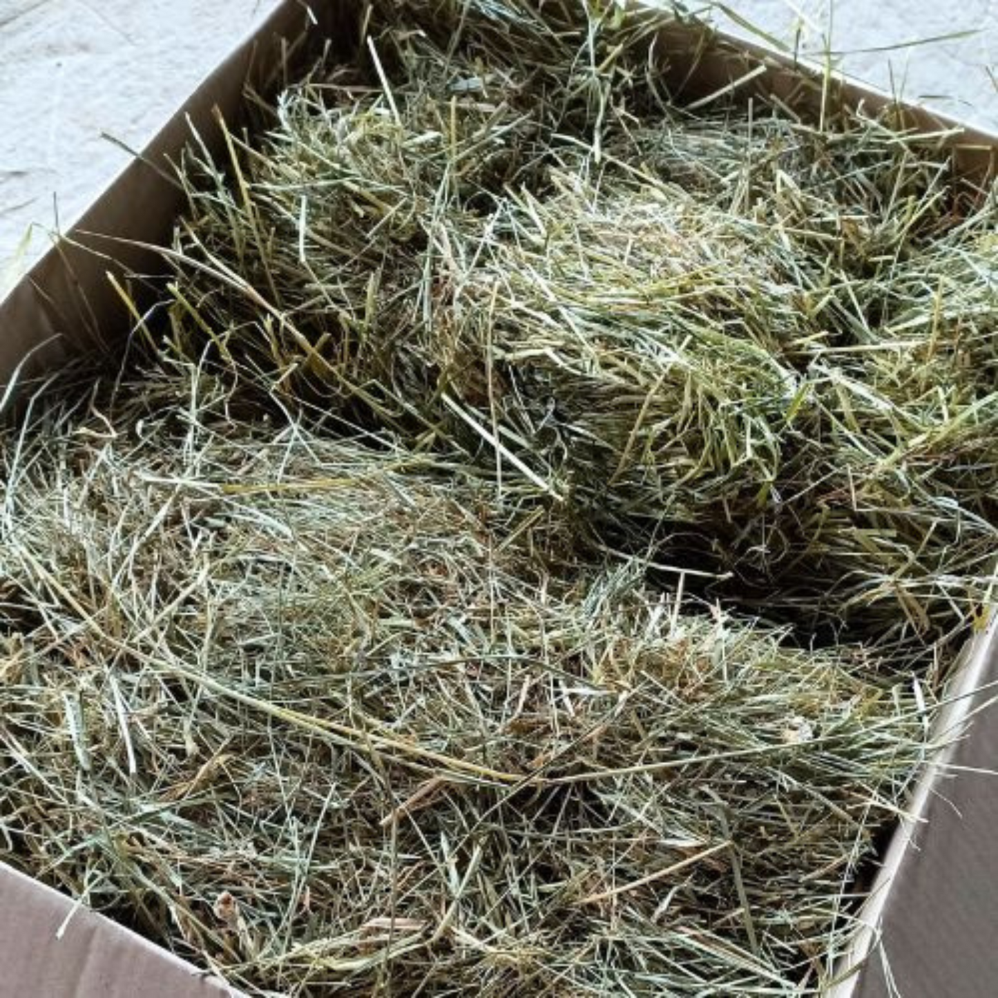 Foin pour lapin pauvre en calcium