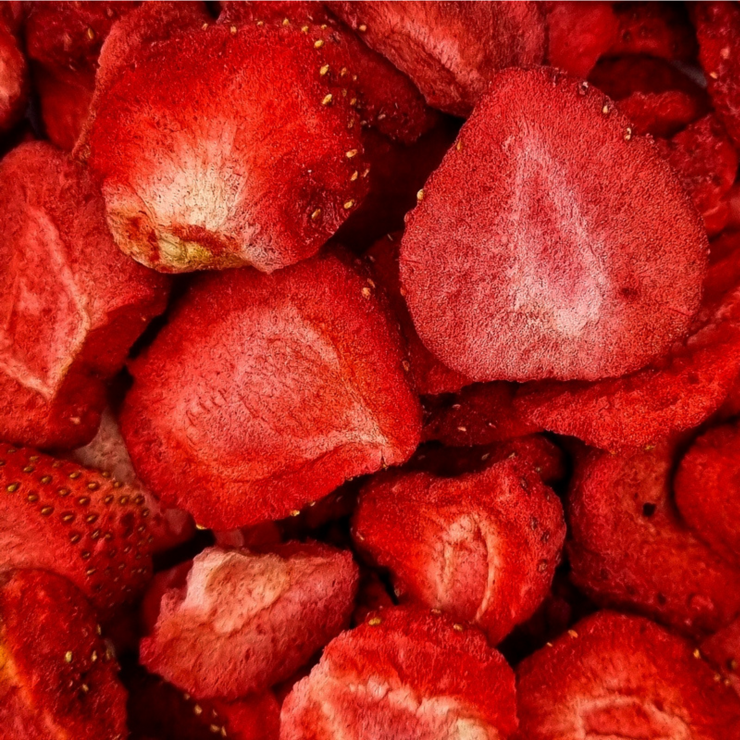 Friandise séchée et naturelle pour lapin fraise fruit