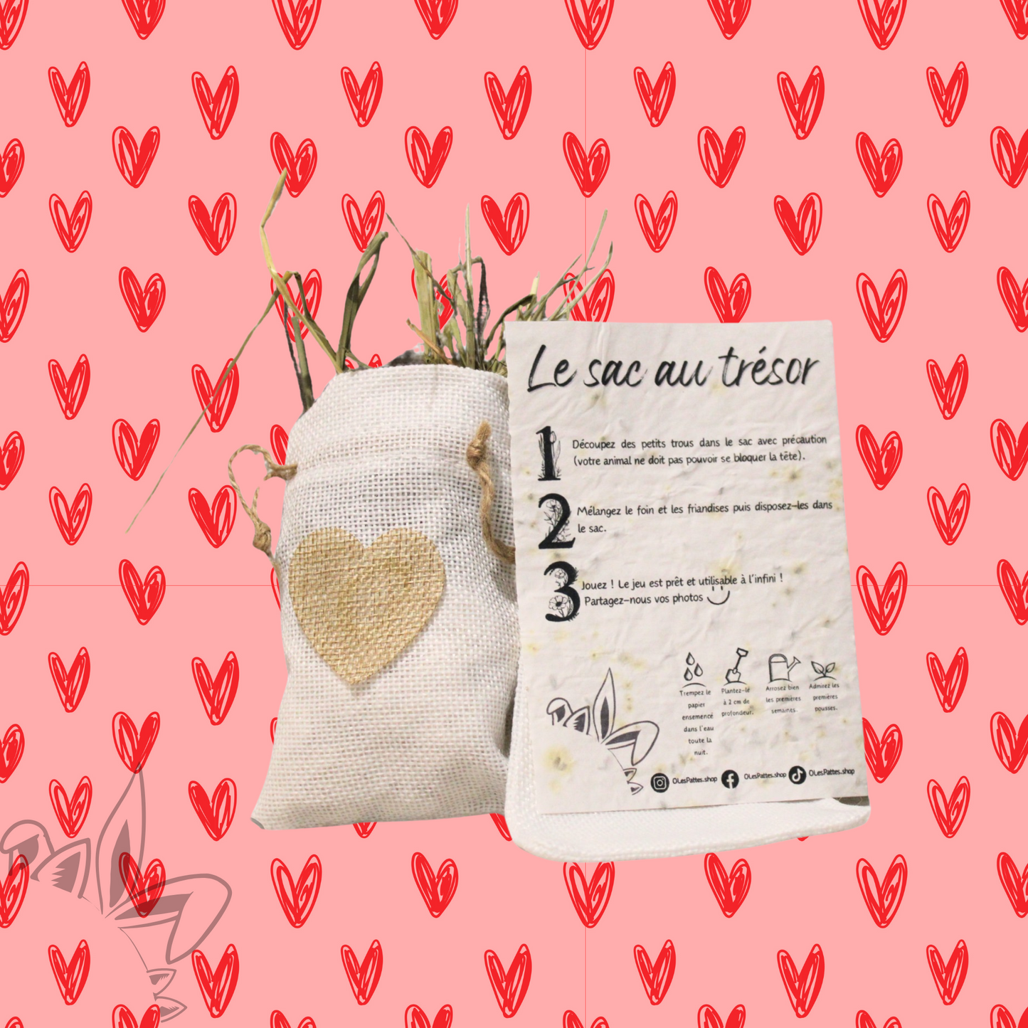 Sac au trésor Saint Valentin - Édition limitée