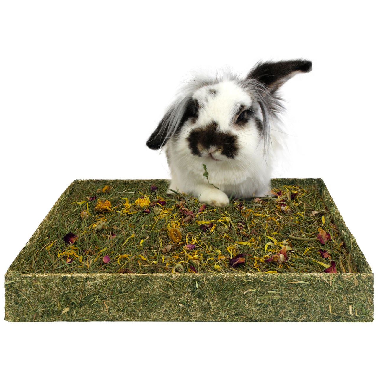 Tapis à creuser aux fleurs pour lapin - JR FARM