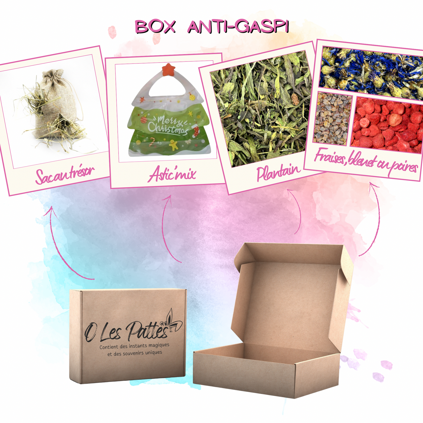 Box Anti-Gaspi