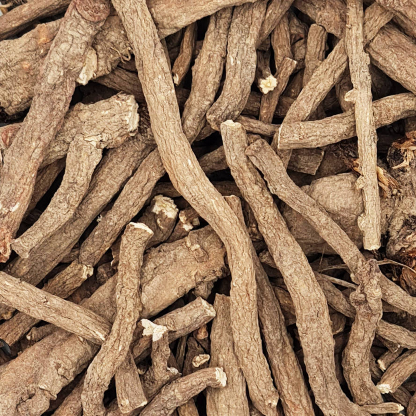 Friandise séchée et naturelle pour lapin Racines de pissenlit
Friandises naturelles pour lapin – enrichissement et bien-être digestif