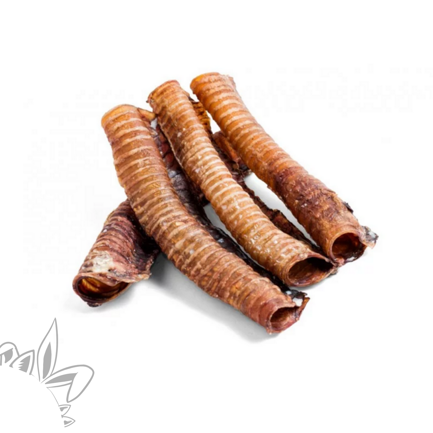 Trachée de bœuf - 30 cm