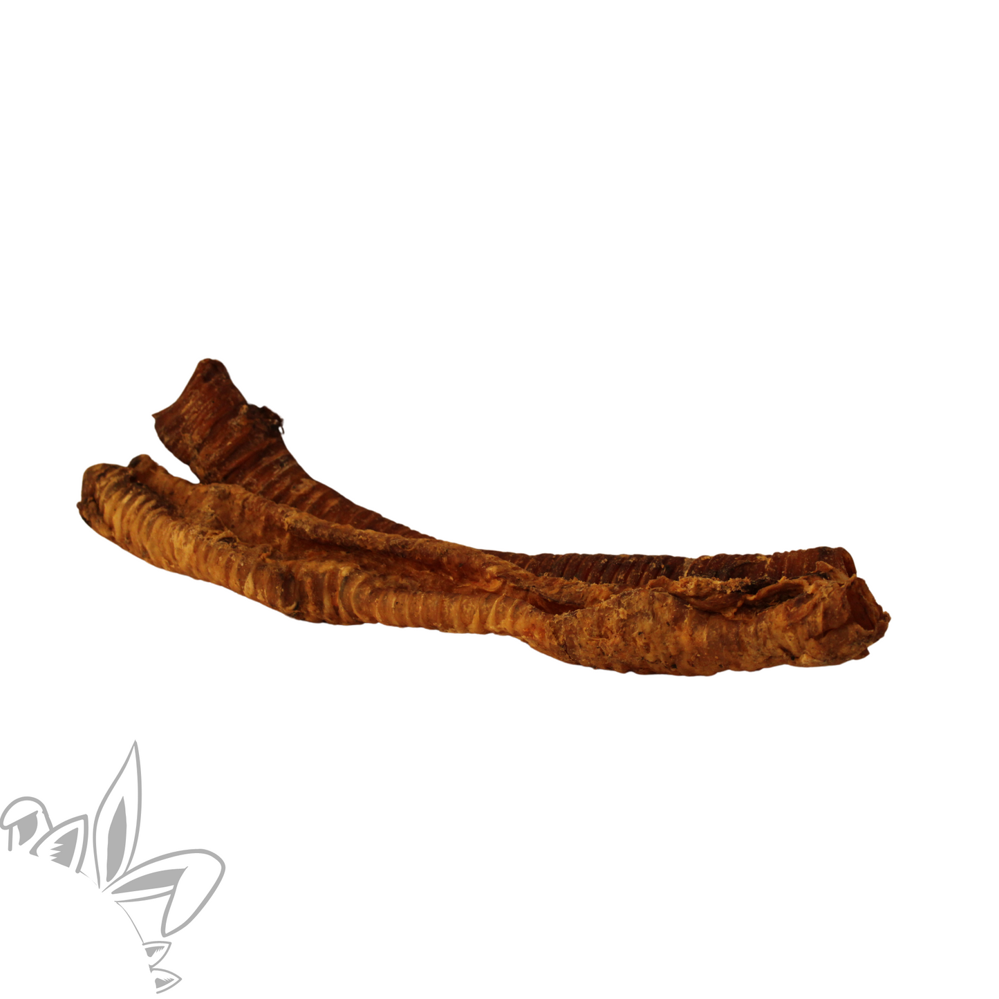 Friandise et mastication pour chien : trachée de chval