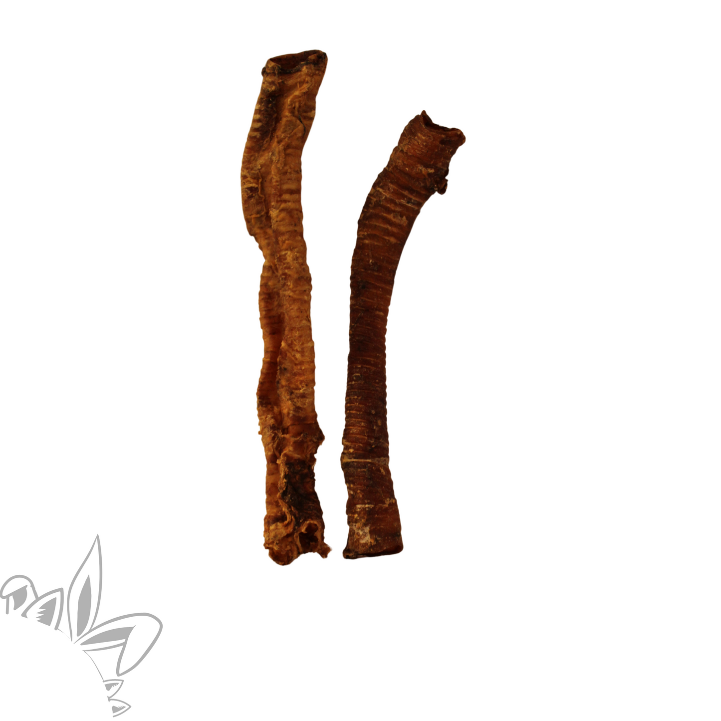 Friandise et mastication pour chien : trachée de chval