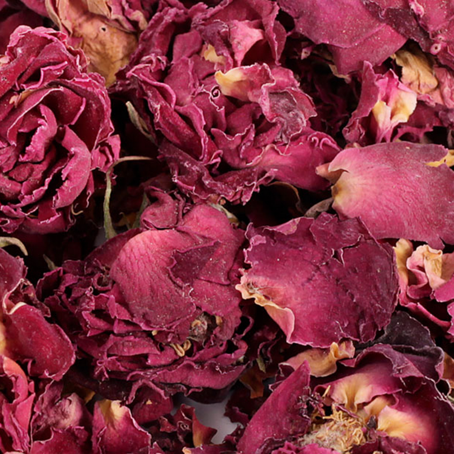 Friandise séchée et naturelle pour lapin Fleurs de rose Friandises naturelles pour lapin – enrichissement et bien-être digestif