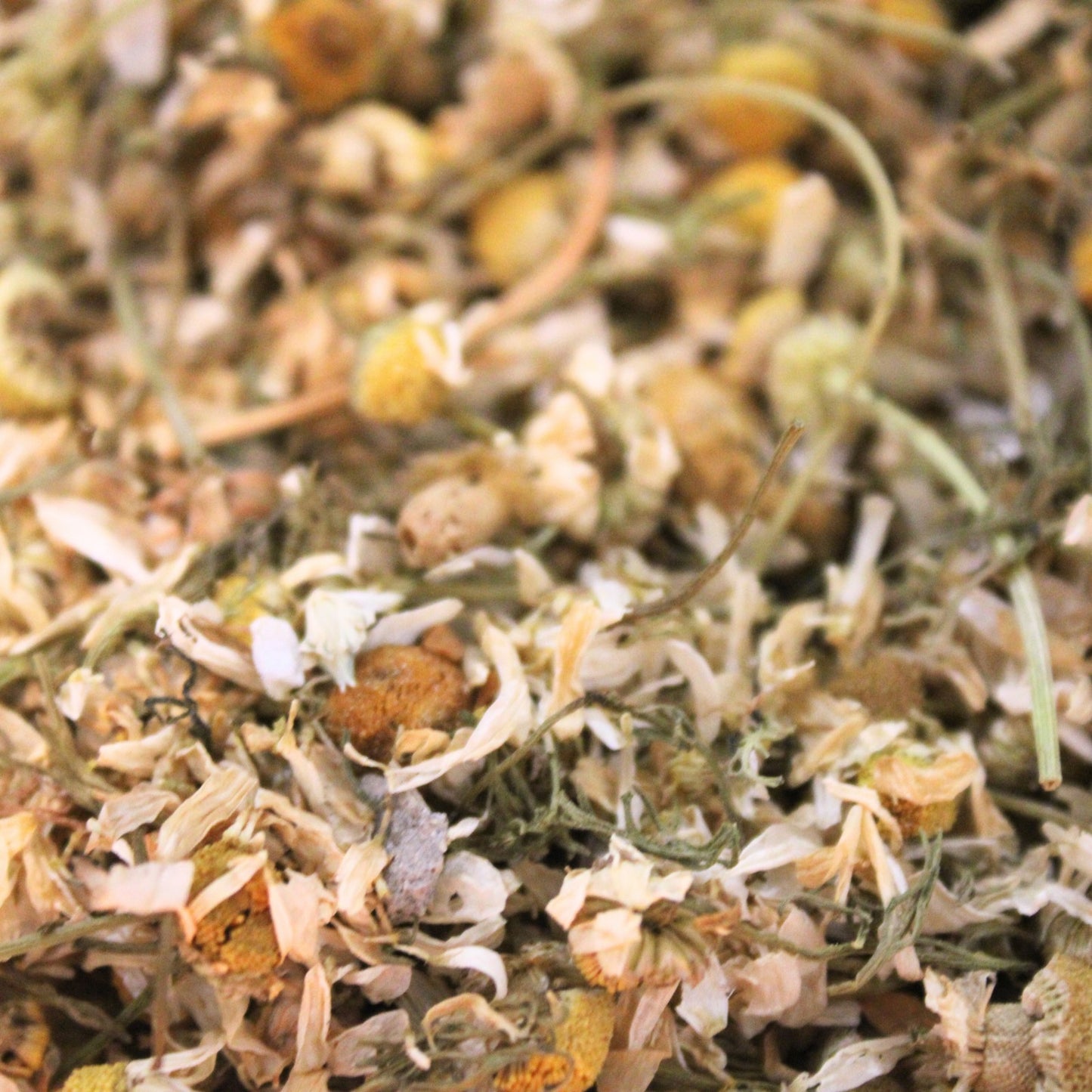 Friandises naturelles pour lapin : fleurs de camomille séchées
Les fleurs de camomille séchées sont riches en fibres, ce qui contribue au bon fonctionnement du transit de votre lapin. Elles sont riches en antioxydants, qui aident à combattre les radicaux libres et à protéger les cellules des dommages.
Les fleurs de camomille détiennent des vertus apaisantes et anti inflammatoires ce qui en fait une friandise saine de choix pour les gourmands.