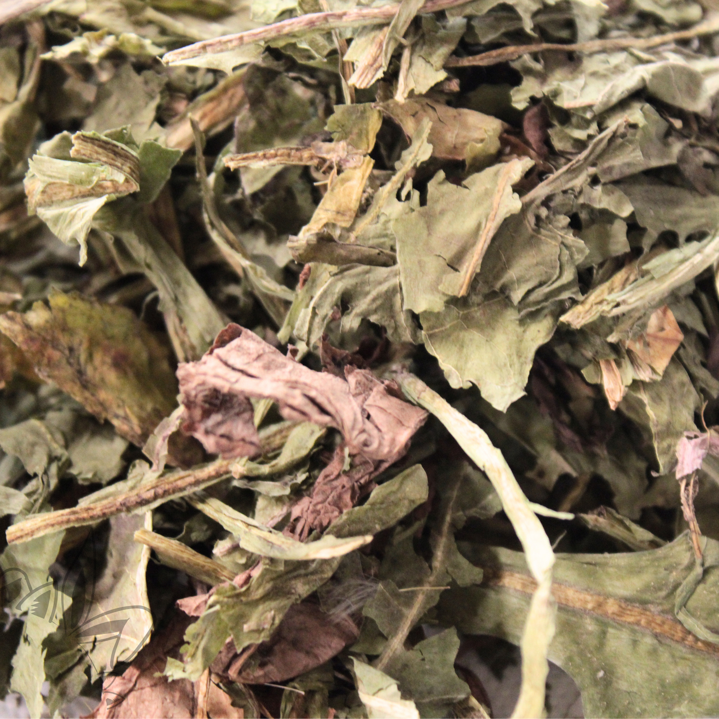 Friandise séchée et naturelle pour lapin pissenlit
Friandises naturelles pour lapin – enrichissement et bien-être digestif