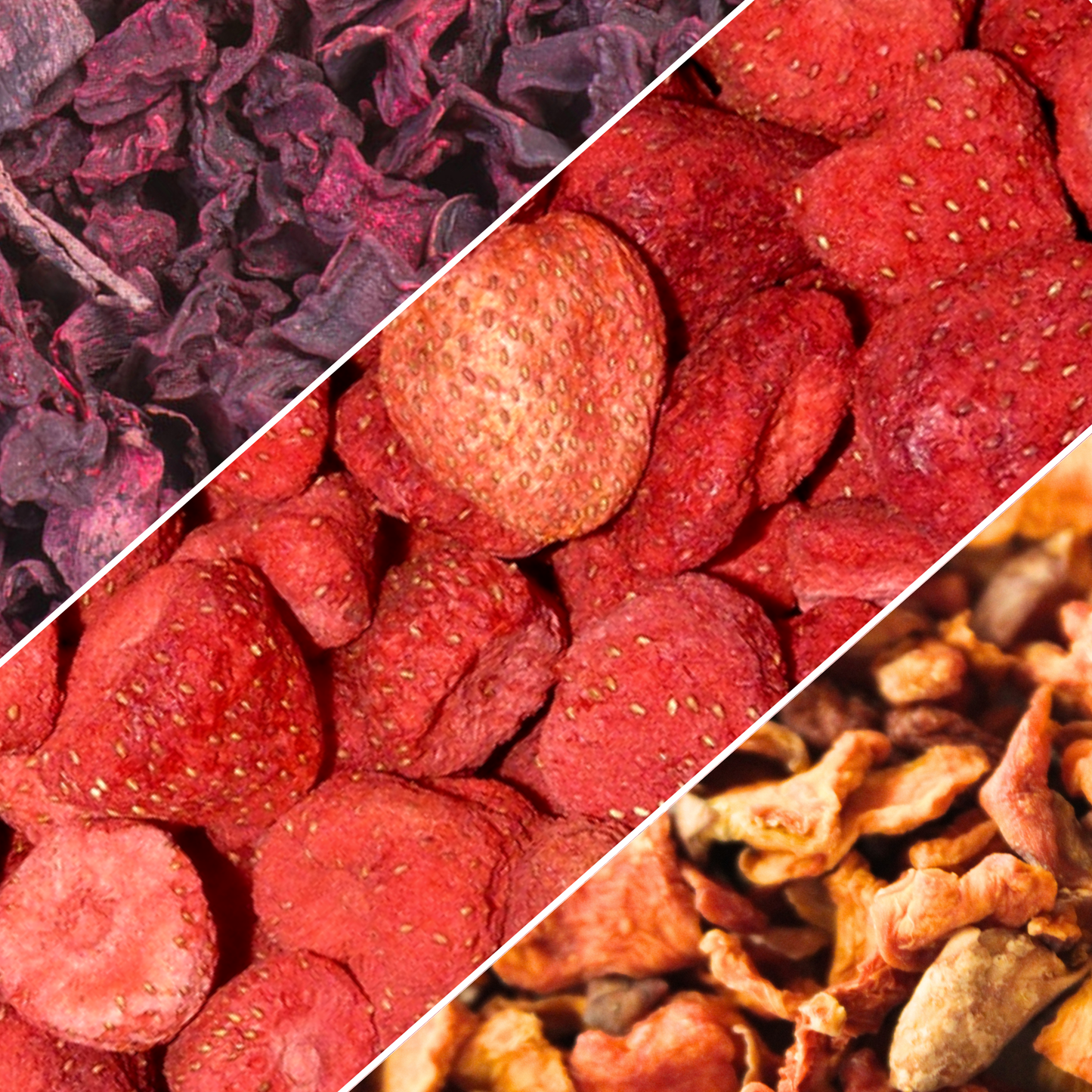 Astic'mix Trio du potager
