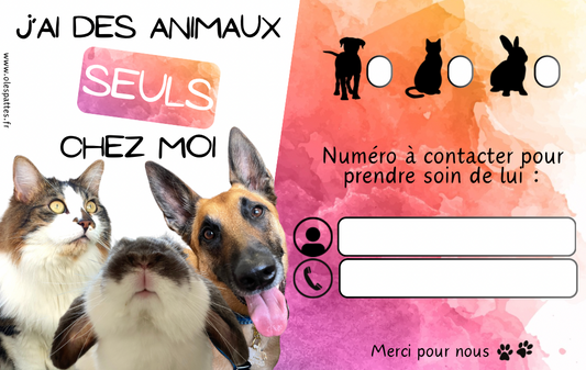 Numéro d’urgence pour vos animaux