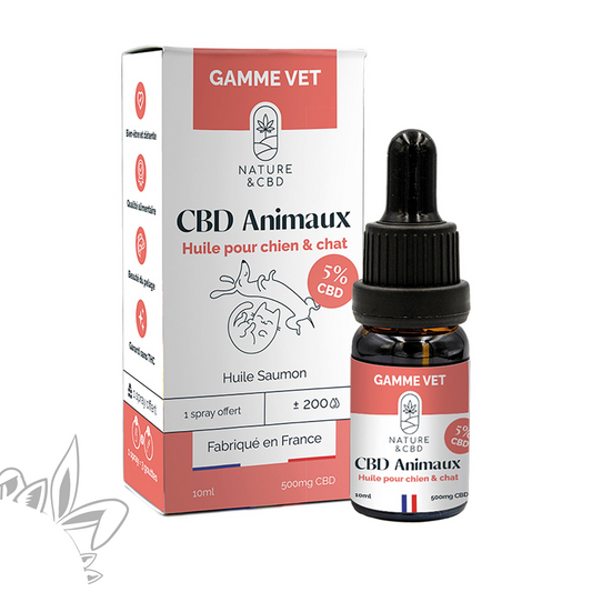 Huile de CBD pour chien et chat 5% - Gamme Vet