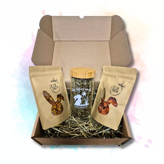 Box sous le sapin des Lapins