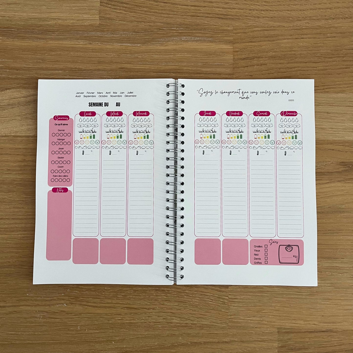 Carnet de suivi pour mon Chien

 Prenez soin de votre chien et gardez des informations précieuses sur sa santé au quotidien !

Le Carnet de suivi pour Chien est l'outil indispensable pour tous les gardiens soucieux du bien-être et de la santé de leur animal. Pratique et facile à utiliser, ce carnet permet de rencenser toutes les informations essentielles permettant de visualiser un changement de comportement, même le plus subtil, dû à une douleur, un mal-être ou une pathologie qui s’installe. Il est aussi i