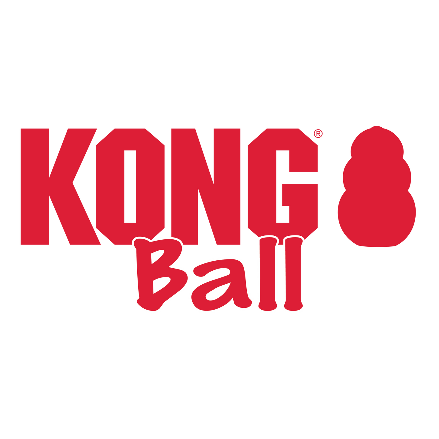 KONG Ball avec corde