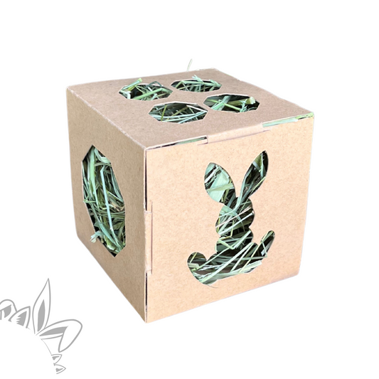 Cube en carton avec foin pour lapin – Jouet naturel à ronger 7 cm
