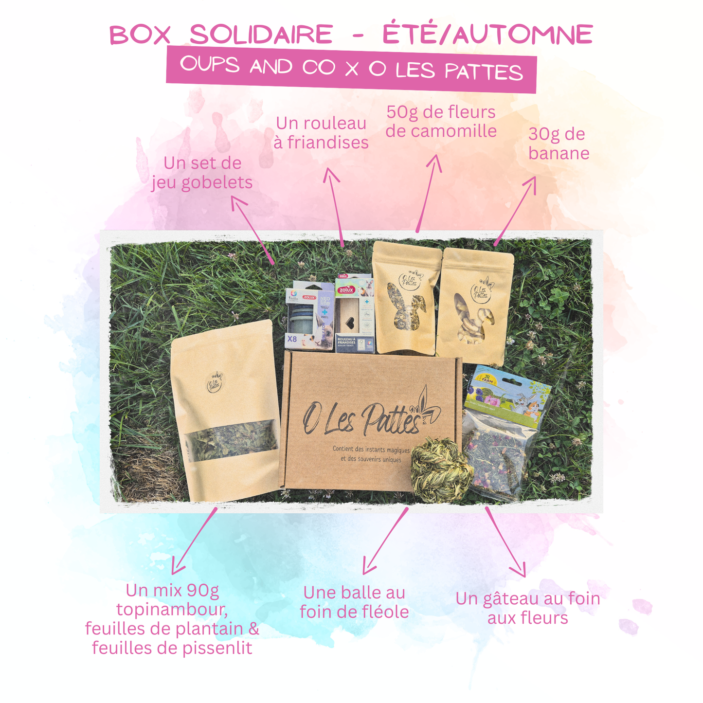 Box Solidaire trimestrielle pour lapin - Friandises naturelles & Jeux