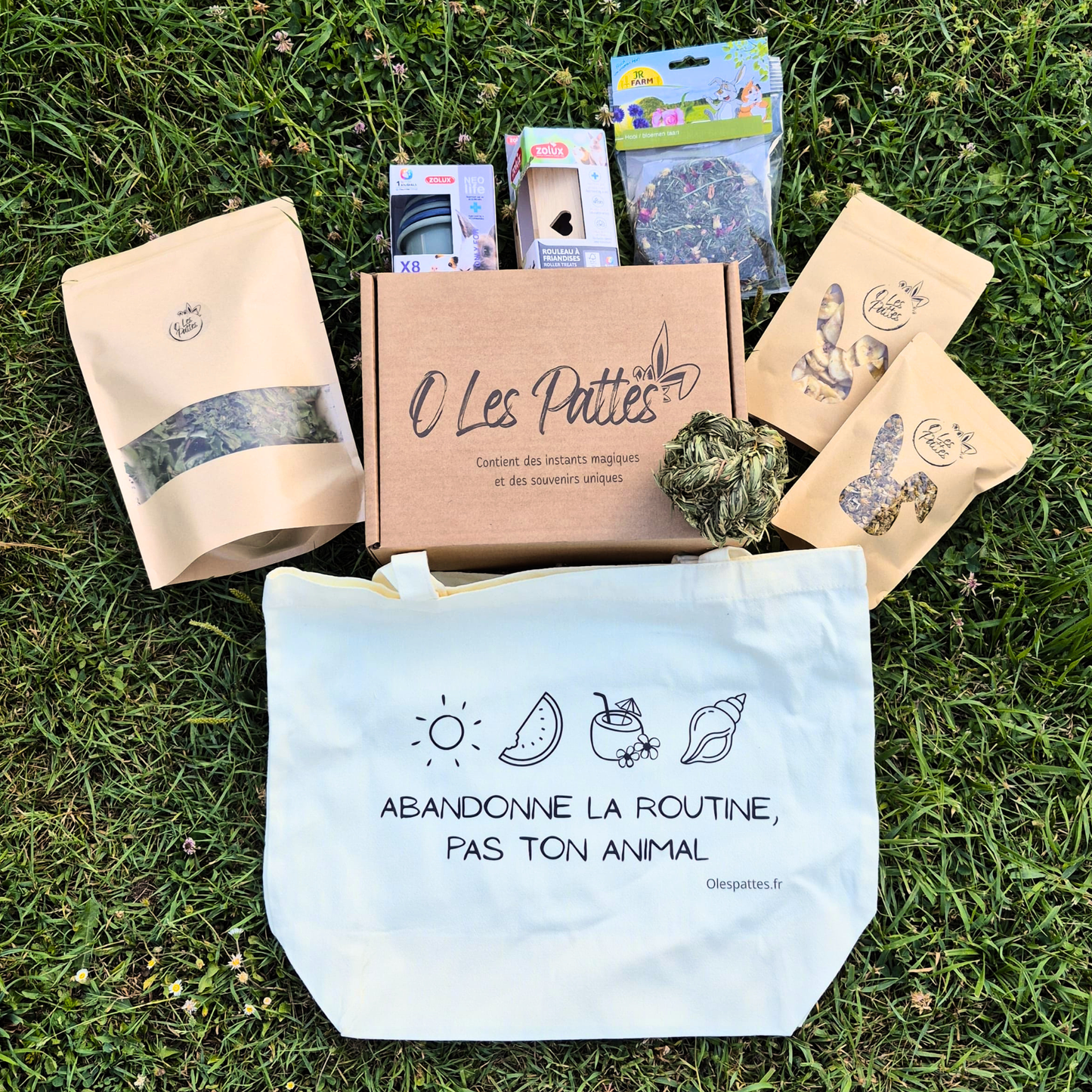 Box Solidaire trimestrielle pour lapin - Friandises naturelles &amp; Jeux