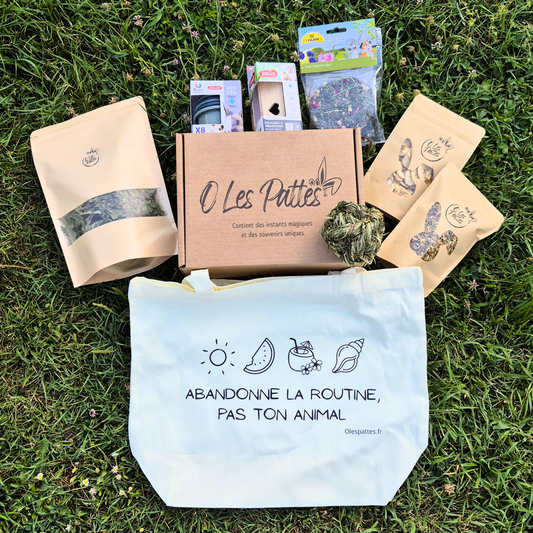 Box Solidaire trimestrielle pour lapin - Friandises naturelles &amp; Jeux