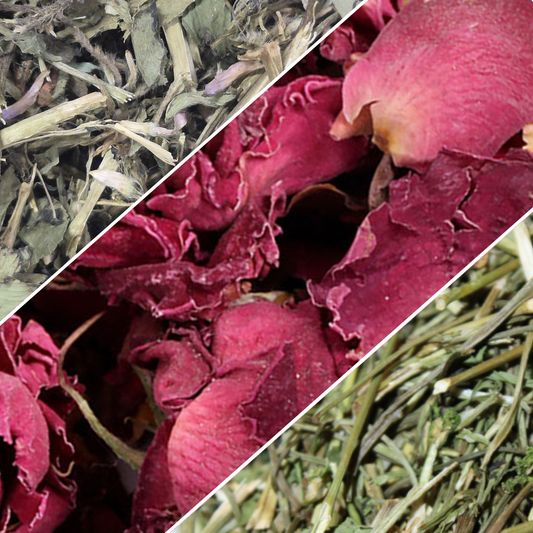 Astic'mix Cueillette Sauvage