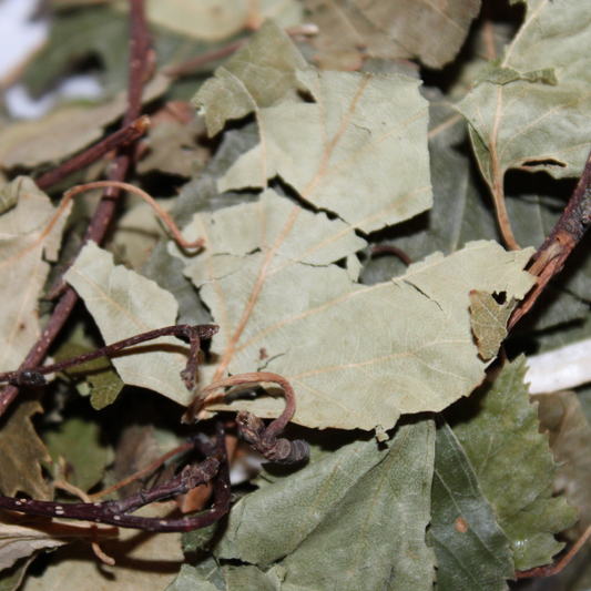 Feuilles de bouleau friandises pour lapin