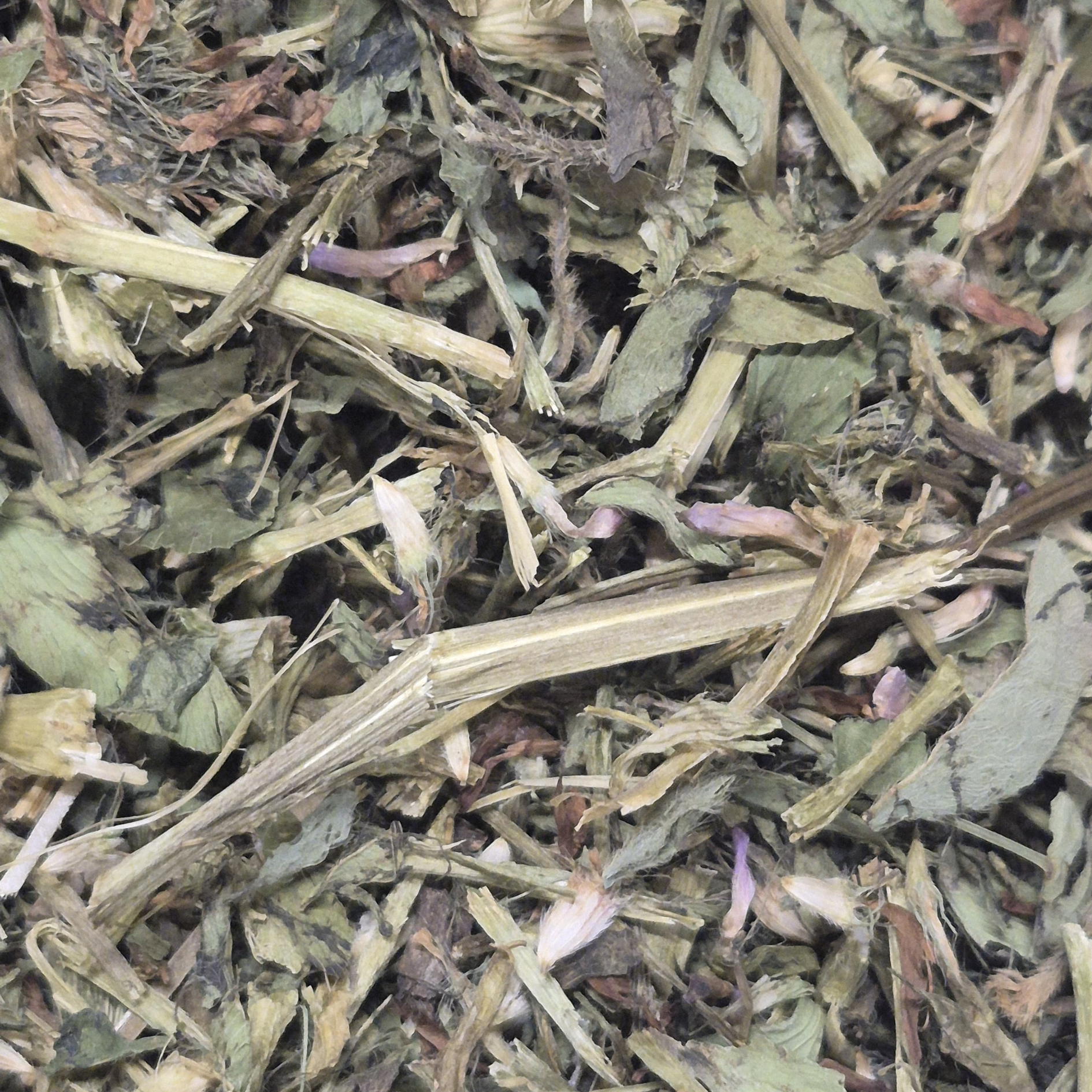 Feuilles de trefle rouge friandises pour lapin