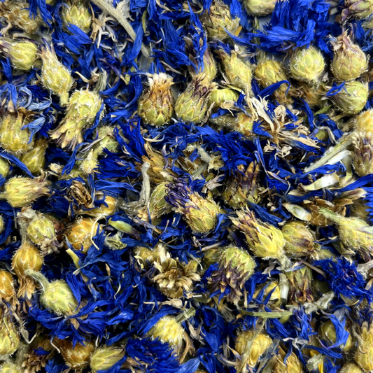 Fleurs de bleuet