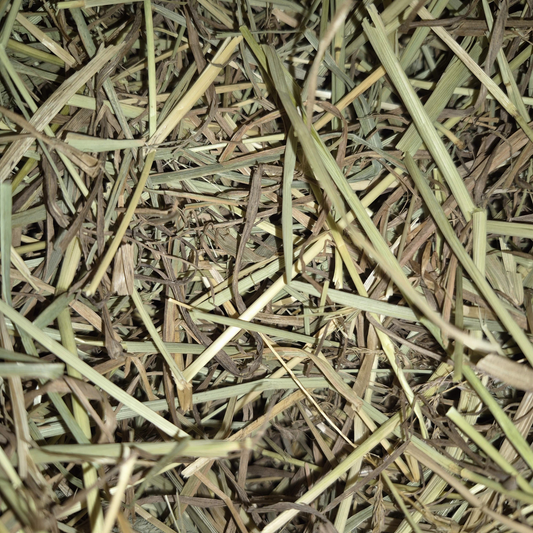 Foin de fléole pour lapin