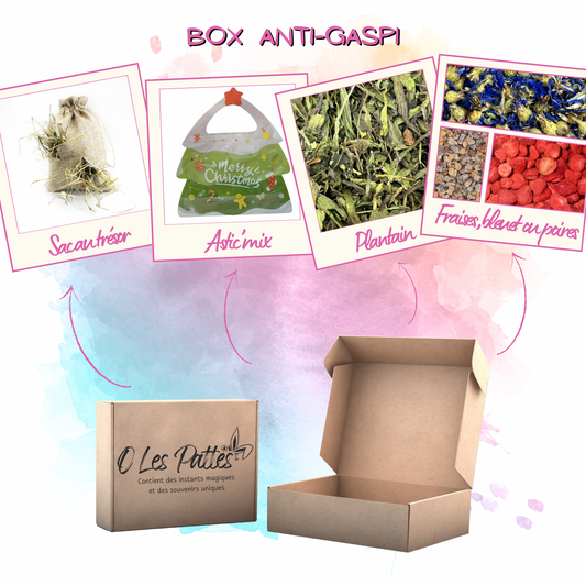 Box Anti-Gaspi