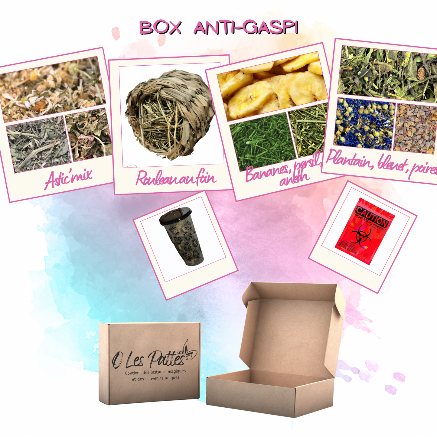 Box Anti-Gaspi