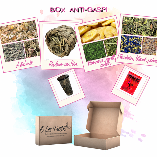 Box Anti-Gaspi