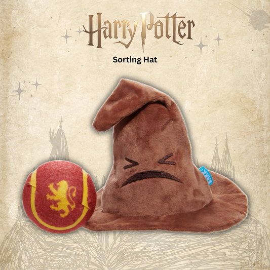 Le Choixpeau™ Magique - The Sorting Hat